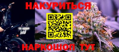 индика Аргун
