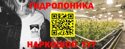 индика Аргун