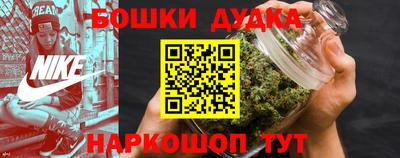индика Аргун